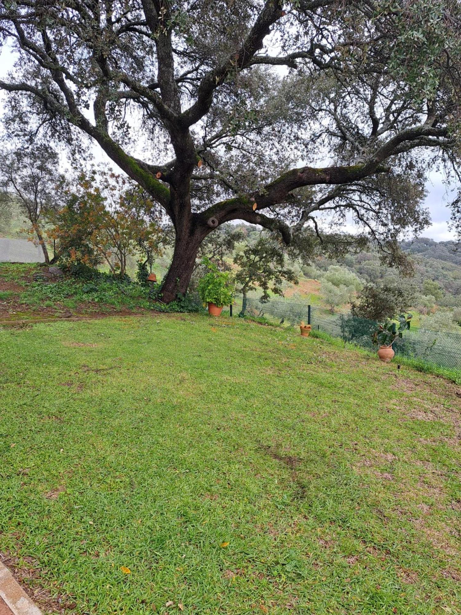 Casa rural Villa Manuela Cazalla de la Sierra Esterno foto